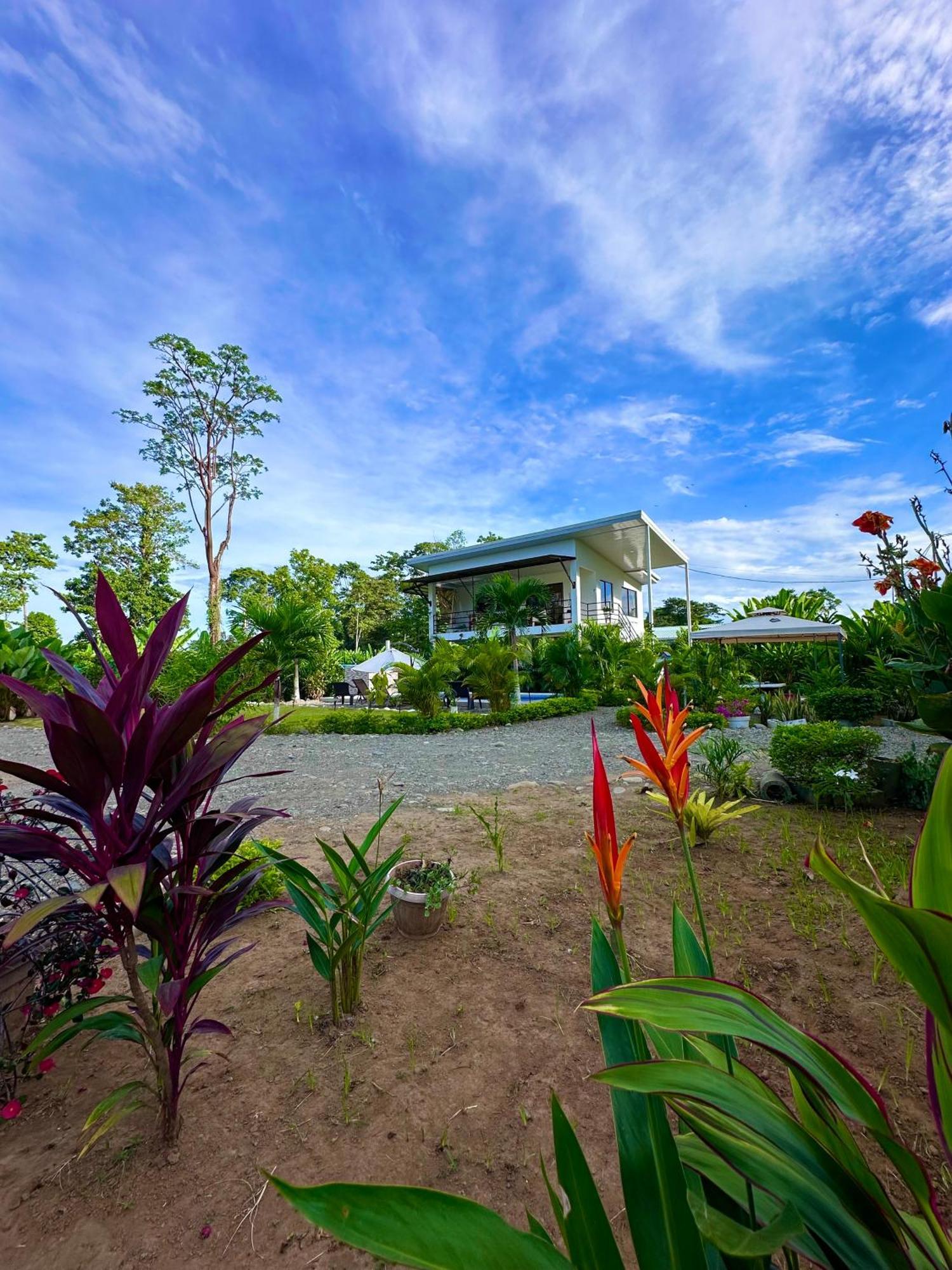 Oso Perezoso Pool Villa Puerto Viejo de Talamanca Exteriér fotografie