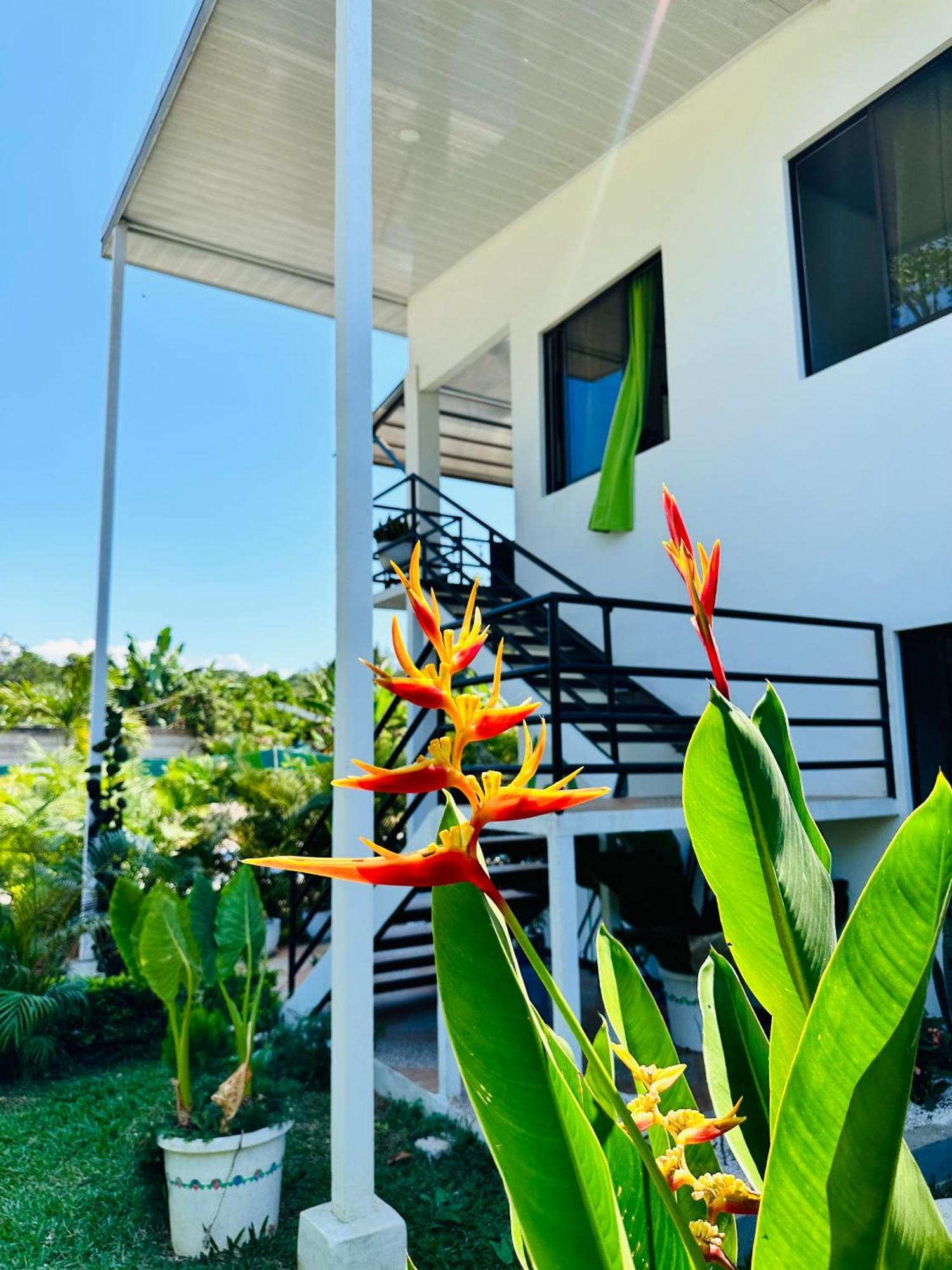 Oso Perezoso Pool Villa Puerto Viejo de Talamanca Exteriér fotografie