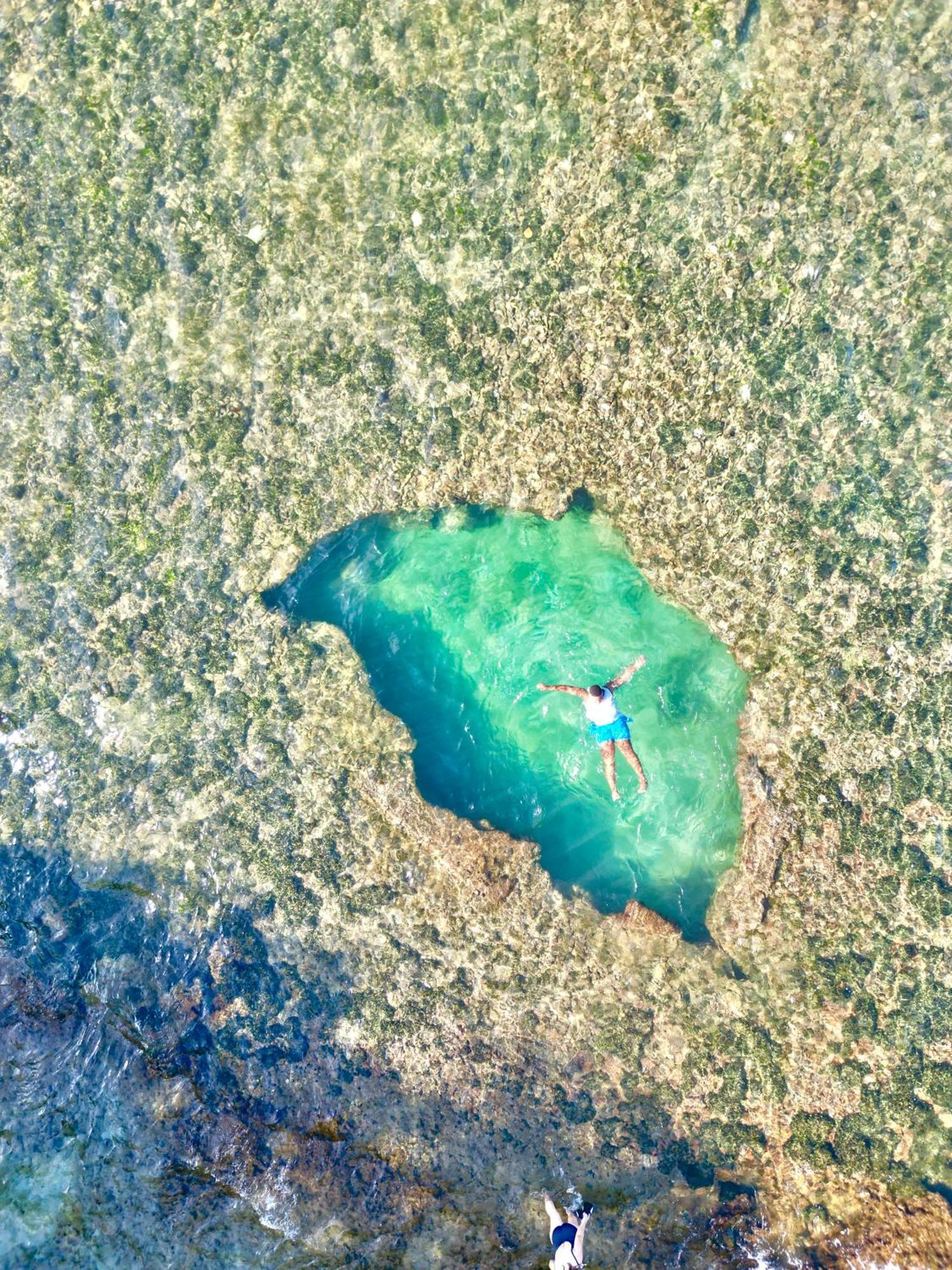 Oso Perezoso Pool Villa Puerto Viejo de Talamanca Exteriér fotografie