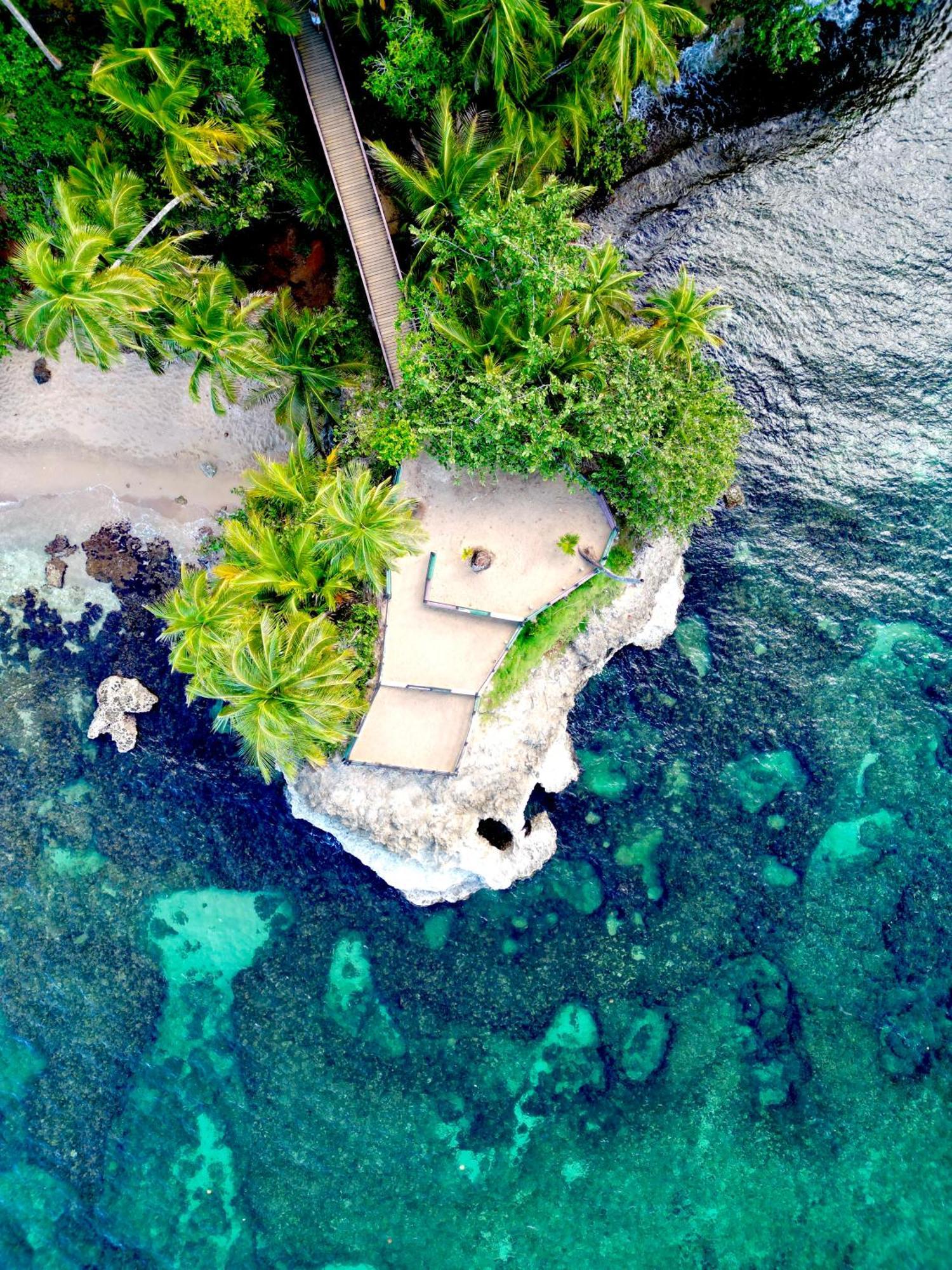 Oso Perezoso Pool Villa Puerto Viejo de Talamanca Exteriér fotografie