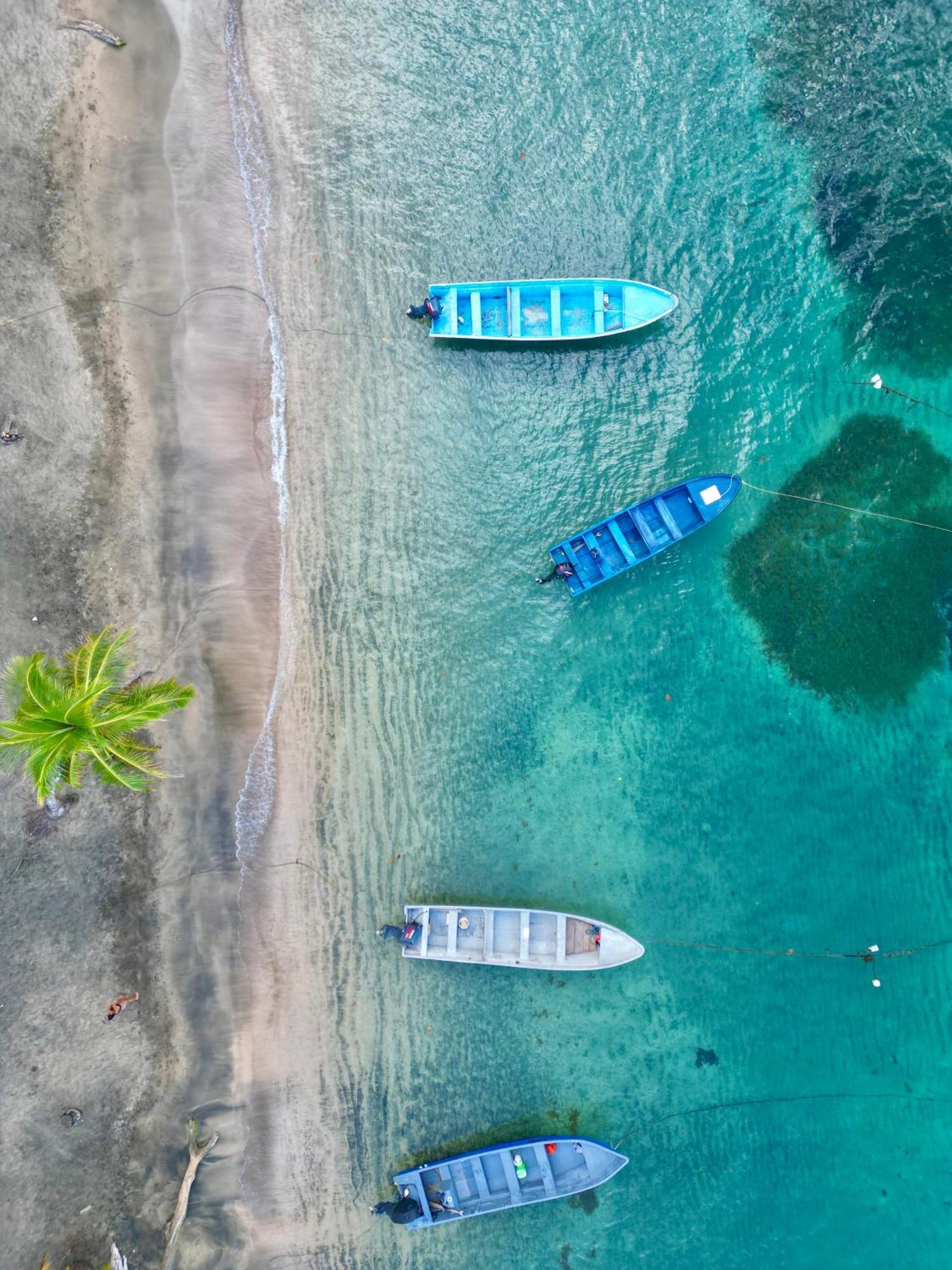 Oso Perezoso Pool Villa Puerto Viejo de Talamanca Exteriér fotografie